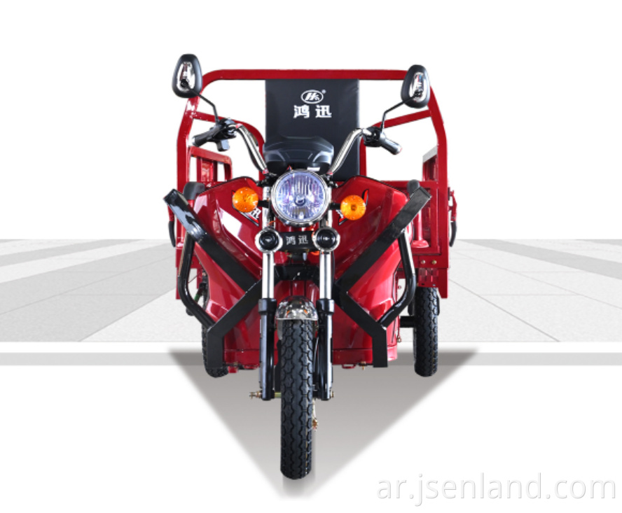 دراجة ثلاثية العجلات الكهربائية مع الإطارات الدهنية Electric Tricycle with Fat Tire